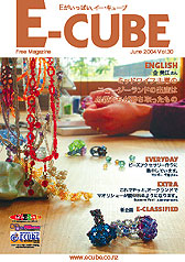 Vol.30