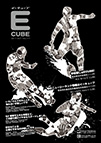 Vol.117